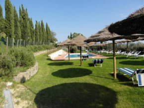 Apartments in Cerreto Guidi/Toskana 23873